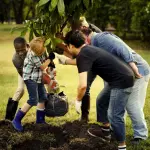 Come e quando piantare un albero da frutto