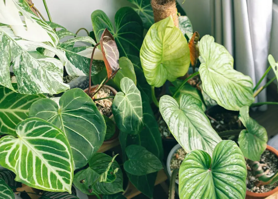 Casa green: cosa cambia davvero tra direttiva europea e abitudini quotidiane